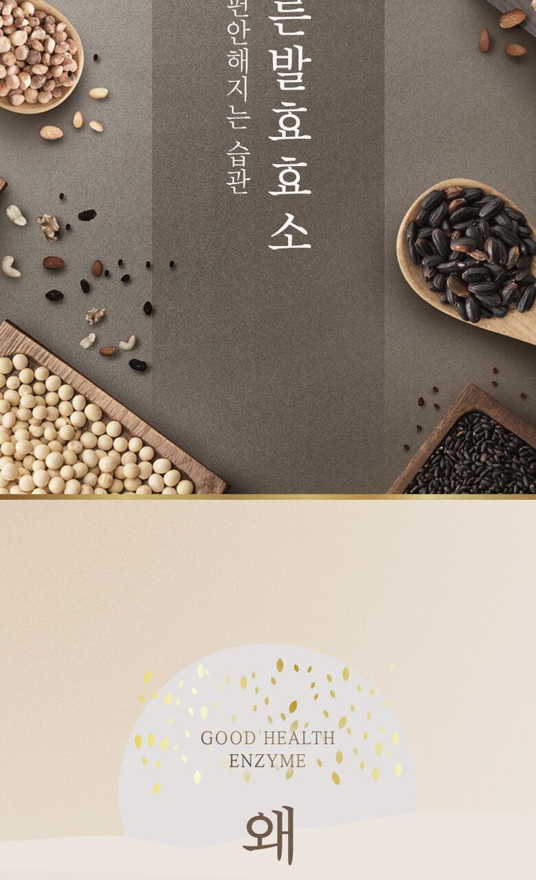 바른 발효효소 상세기술서3